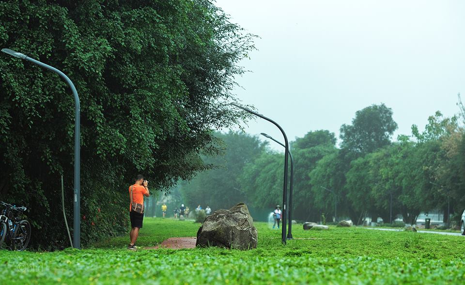 Mục kích đường chạy marathon Hoa vàng trên cỏ xanh Ecopark